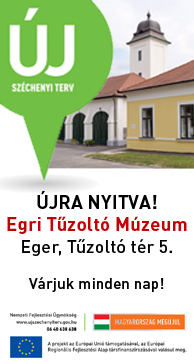 Egri T�zolt� M�zeum